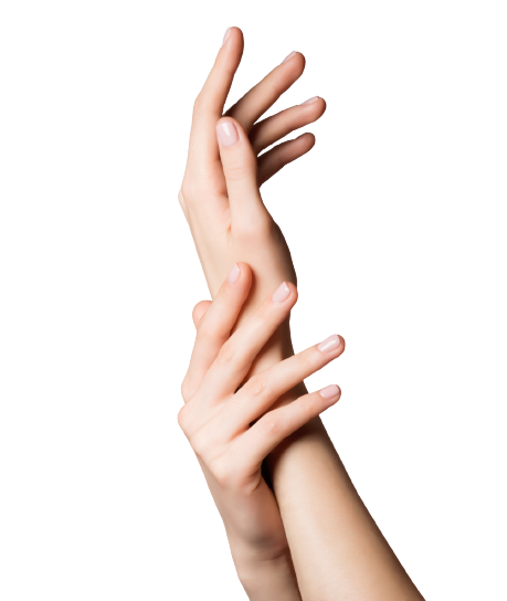 photo of beautiful elegant female hands with healthy clean skin removebg preview